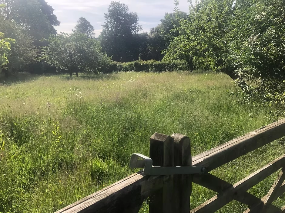 An orchard viewed over a gate